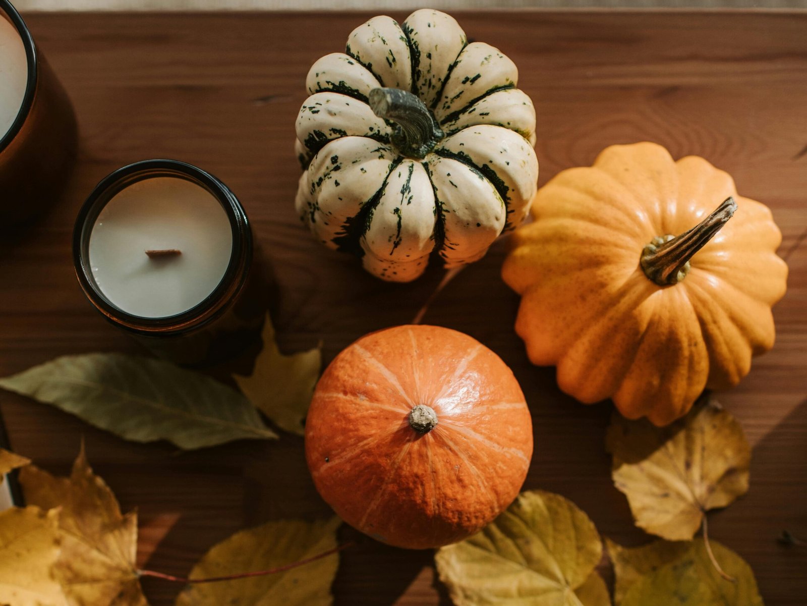 pumpkins and dried leaves