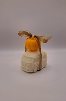 Autumn Ride – Χειροποίητο κερί με βανάκι & κολοκύθα